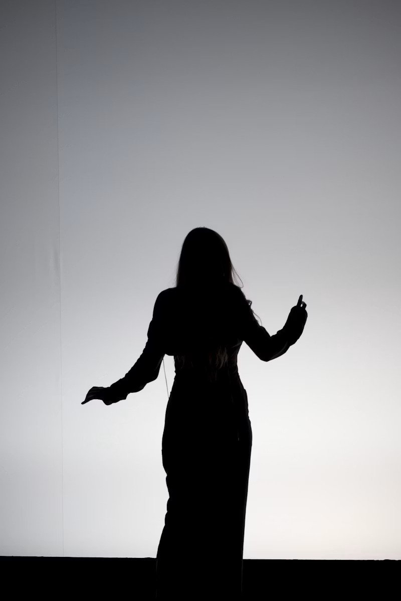 Silhouette ngược sáng bù sáng EV compensation