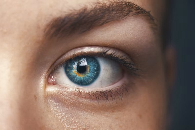 Closeup mắt sắc nét lấy nét eye focus