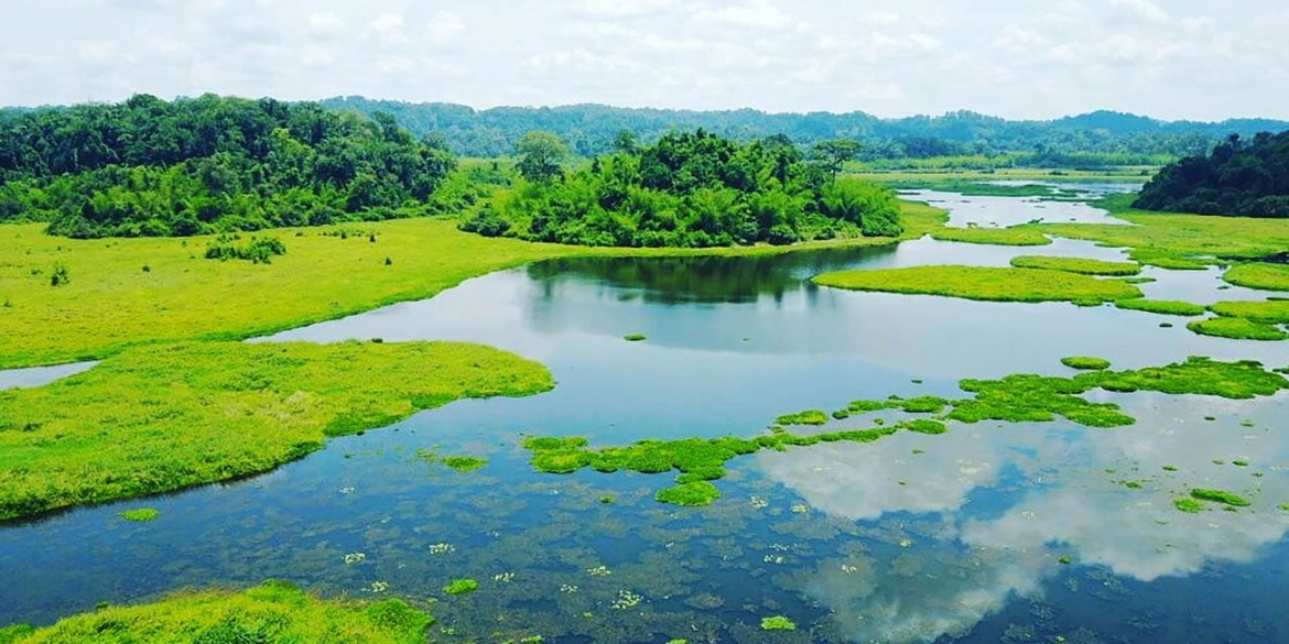 Chi phí du lịch Nam Cát Tiên bao nhiêu? - vietnamphotographer.net